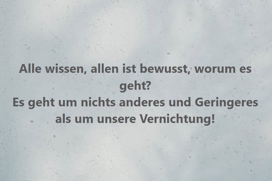 M. Markert tweet media
