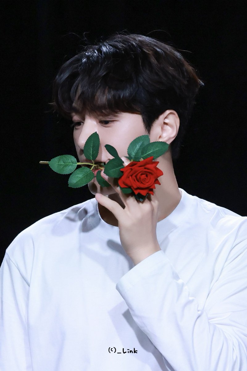 hannah_in6913's tweet photo. 🌹
250323 https://t.co/DqzF69OF3G