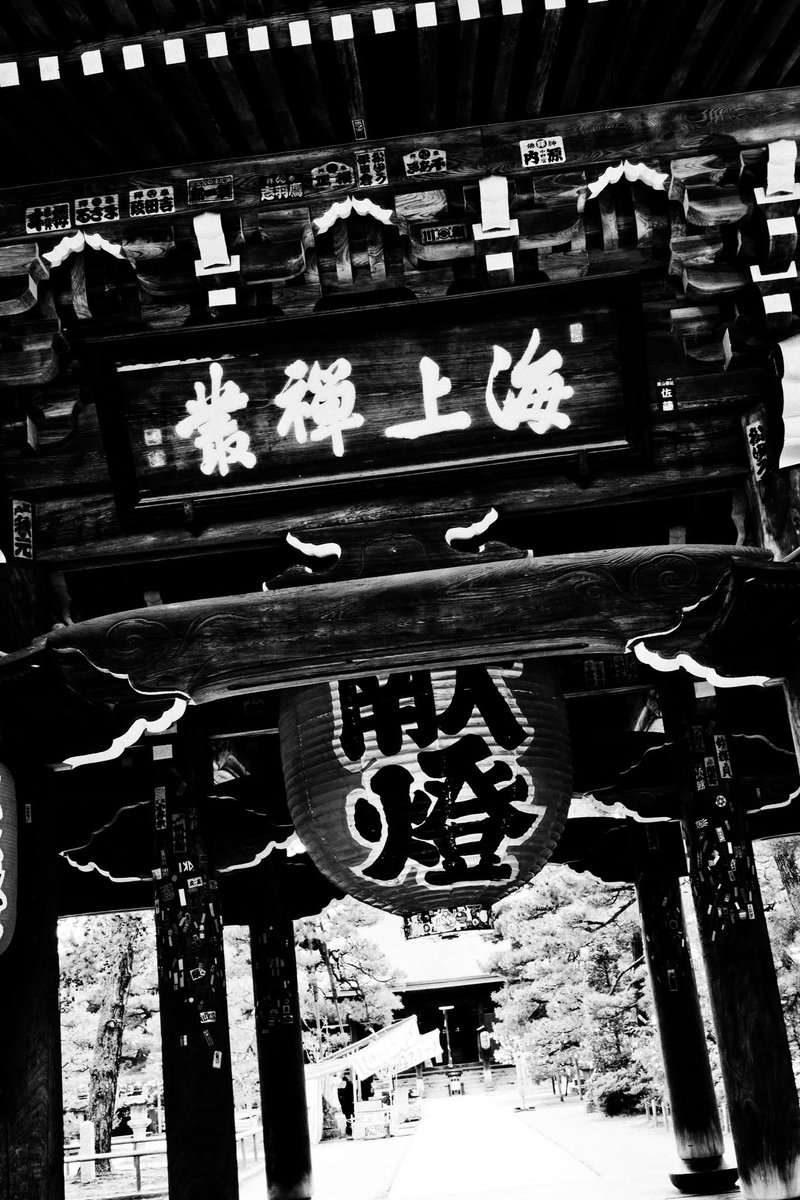 LinKuanHsi81345's tweet photo. 旅途
京都 天橋立 https://t.co/d1GkUni06S
