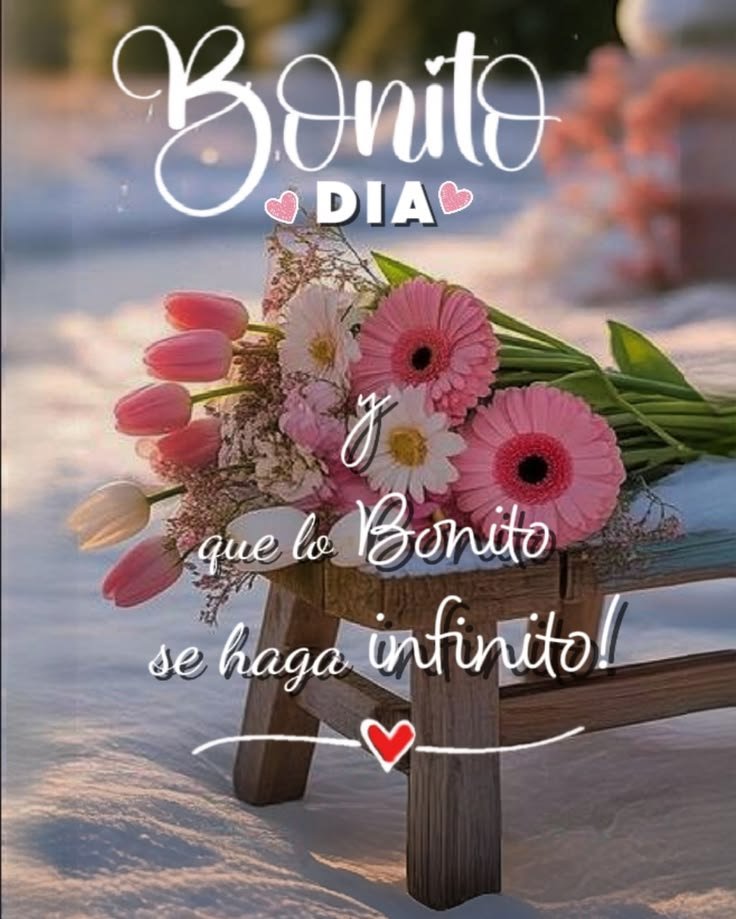 ❀○∘˚👑˳°○ Dita 💙❀ tweet media