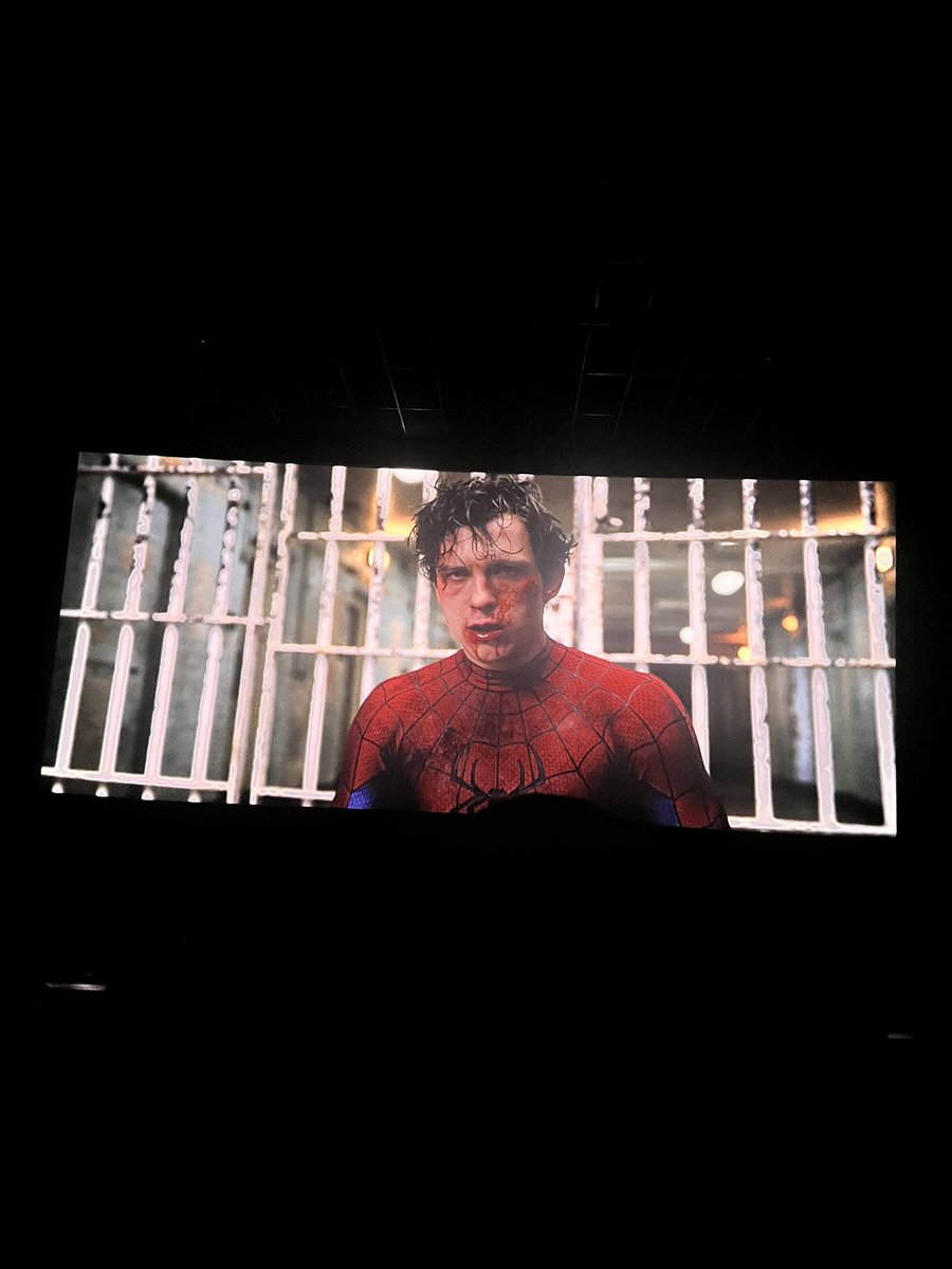 Fernandes🕸️ tweet media