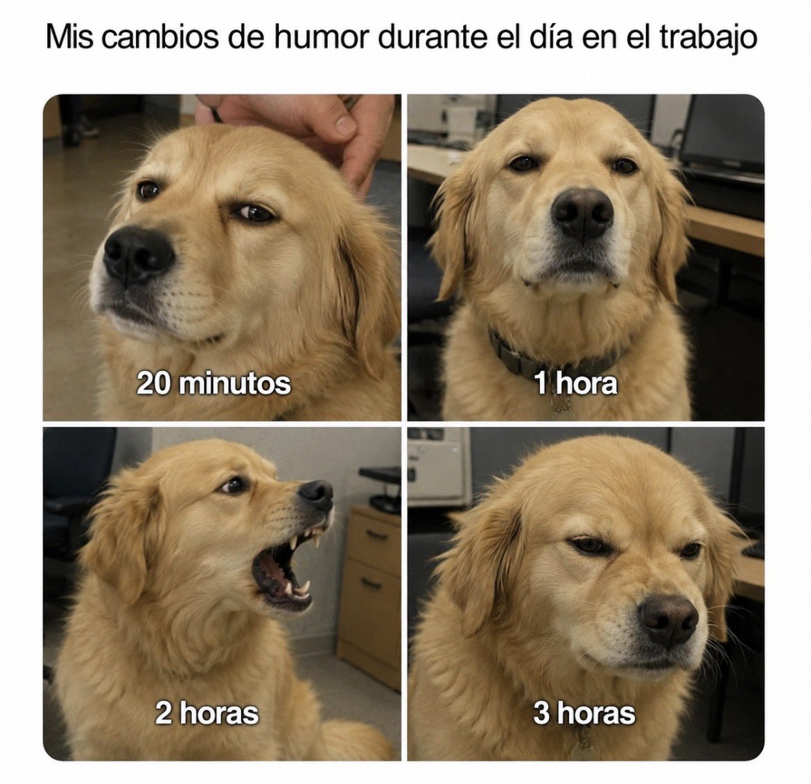 caramjose's tweet photo. Jueves de cambios de humor 🙄 https://t.co/i3LYJgHiKs