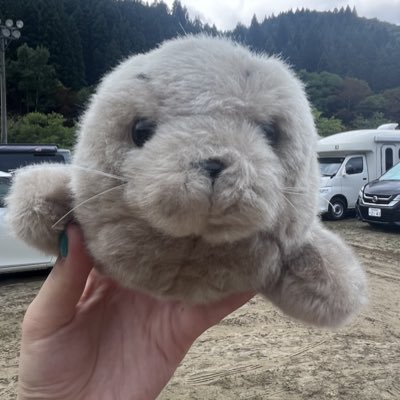 __nn0730__'s tweet photo. #新しいプロフィール画像 https://t.co/ByCdgfkavB