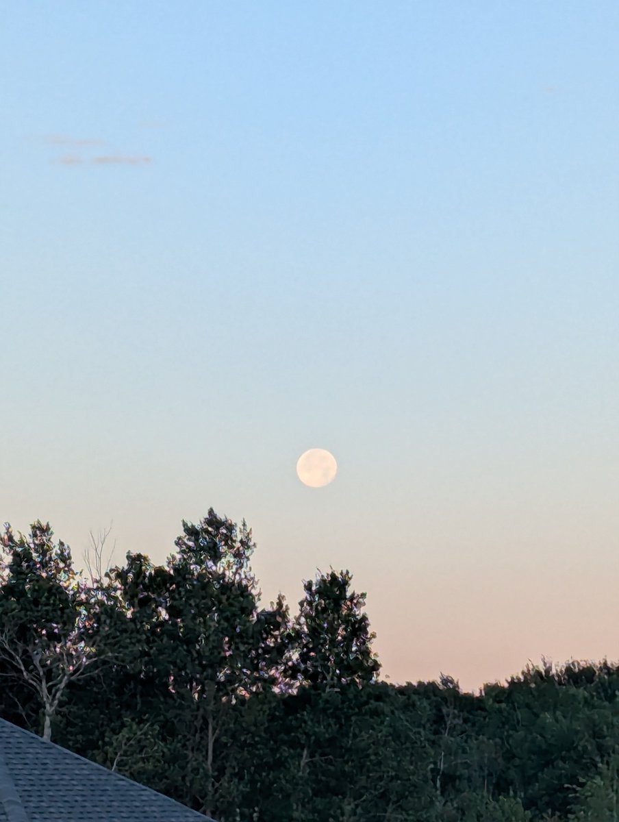 Grampa1950's tweet photo. QP or Share your moon clicks. 

Here's mine from this morning https://t.co/ueWLX52tqS