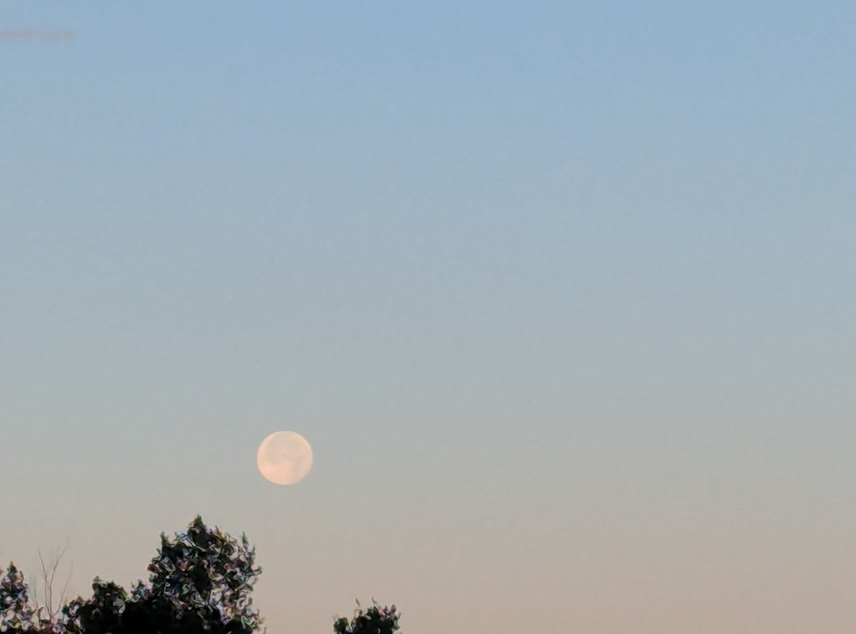 Grampa1950's tweet photo. QP or Share your moon clicks. 

Here's mine from this morning https://t.co/ueWLX52tqS