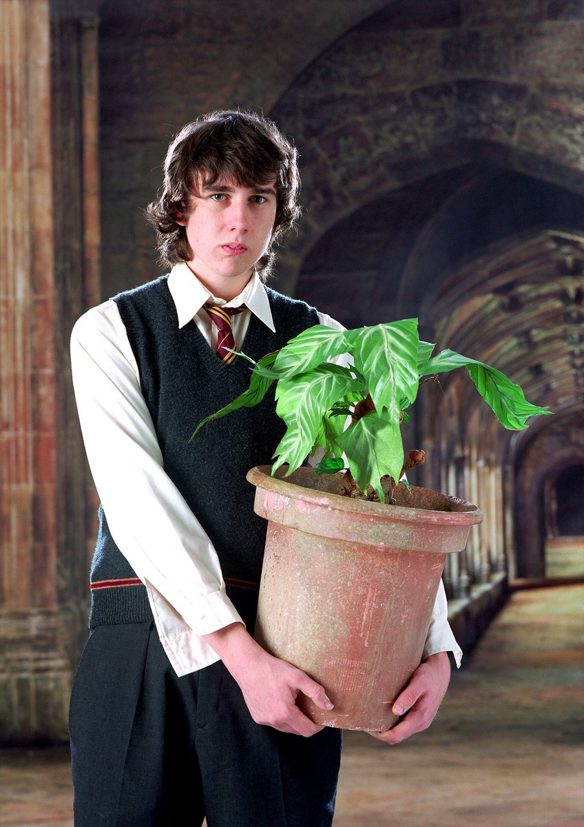 cacocardassi's tweet photo. Hoje é aniversário do Professor Longbottom! 

Neville, que atualmente é diretor da casa Grifinória e ensina Herbologia em Hogwarts, está completando 46 anos. https://t.co/zpuIiW9e3p