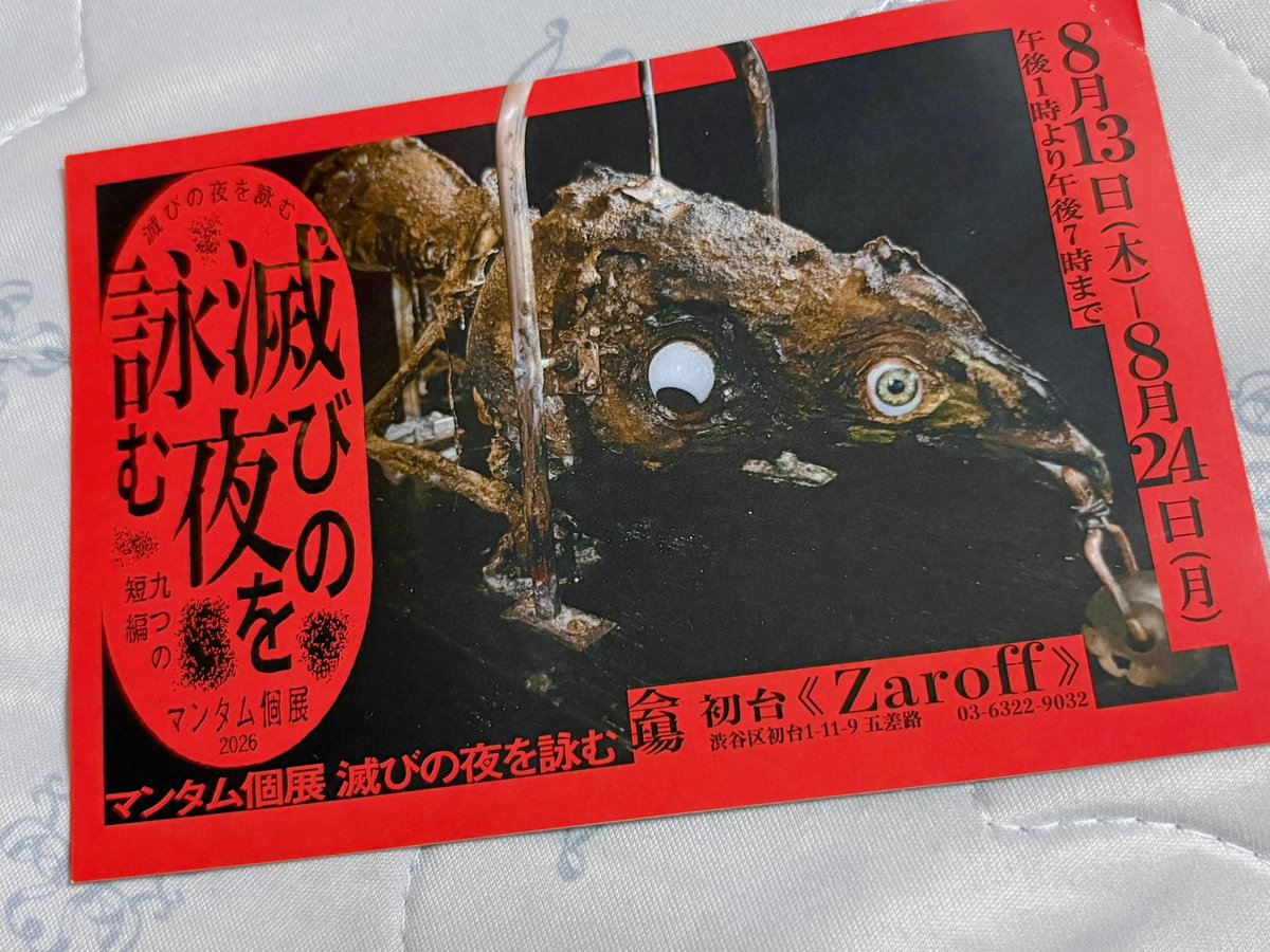fau_sleeping__'s tweet photo. 本日は気になってた上野骨董市さんに！

標本が気になって1万円札握って行ったけど、かわい子ちゃんは予算オーバーでした……。
代わりに可愛い道行コートをお迎え✌️

その後はラフォーレに行って、愛と狂気でyuuutuさんとicegrayさんの作品をお迎えしてきました🥰✨ https://t.co/7iVsxicZL3