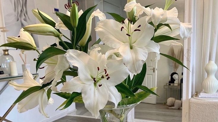 bloomifyyy's tweet photo. https://t.co/usAxPJvDP8
