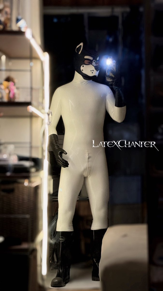 LatexChanter's tweet photo. Call me White Puppy ⚪️ https://t.co/Iu1sp14XDu