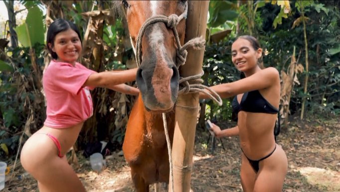 mamahmiia00's tweet photo. Affairs of our Hearts 🥰🐴💕😉
Bestie Goals
#Bestiality #zoophilia #artofzoo https://t.co/KNjIU1XluR