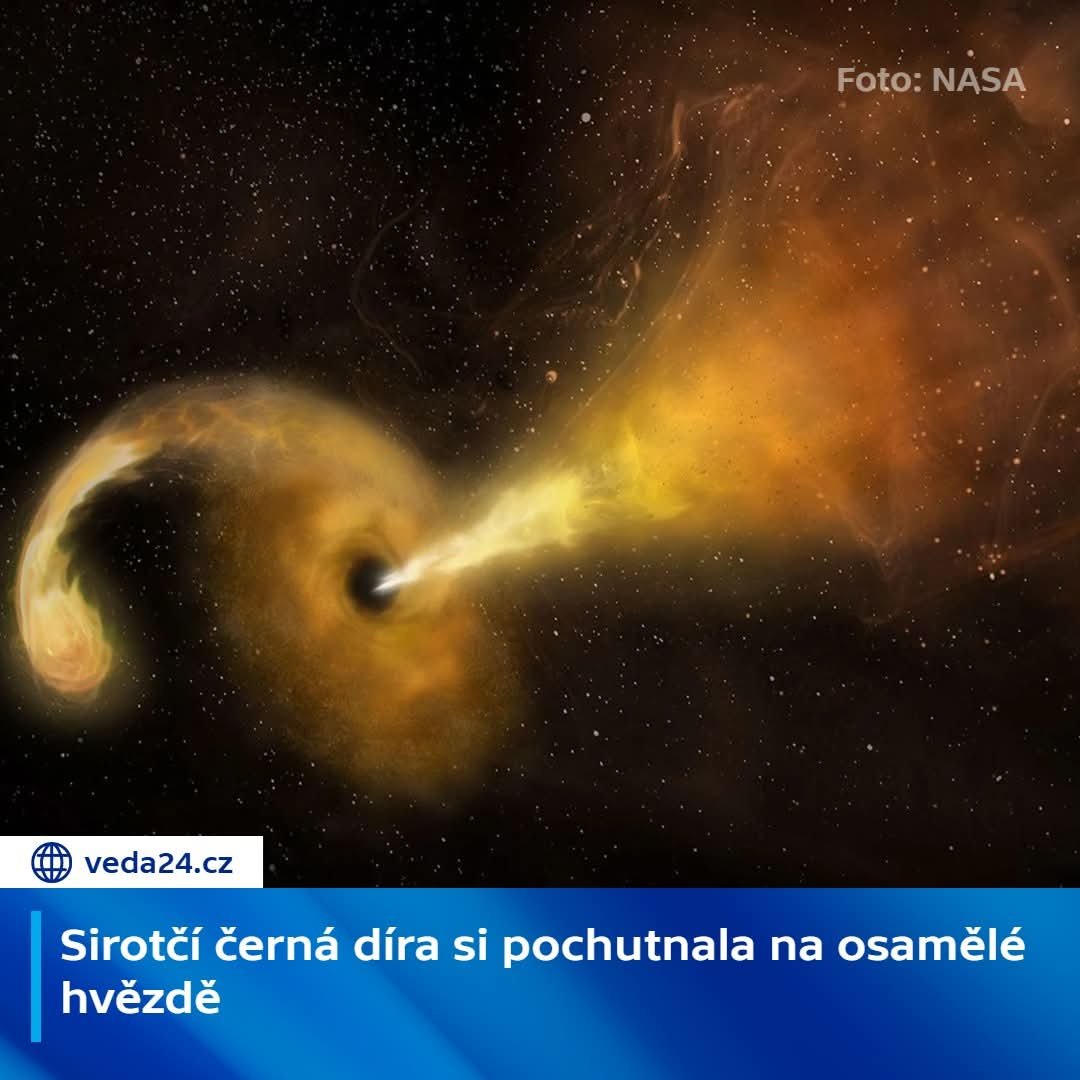 _alzbeta_'s tweet photo. mňam taky bych si dala 😋 https://t.co/uhGcX6U8vp