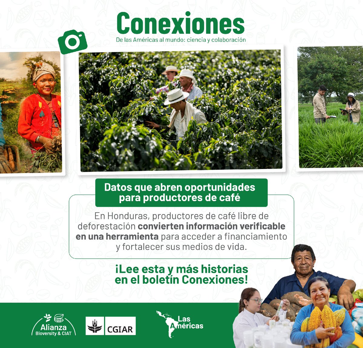 Alianza de Bioversity International y el CIAT tweet media