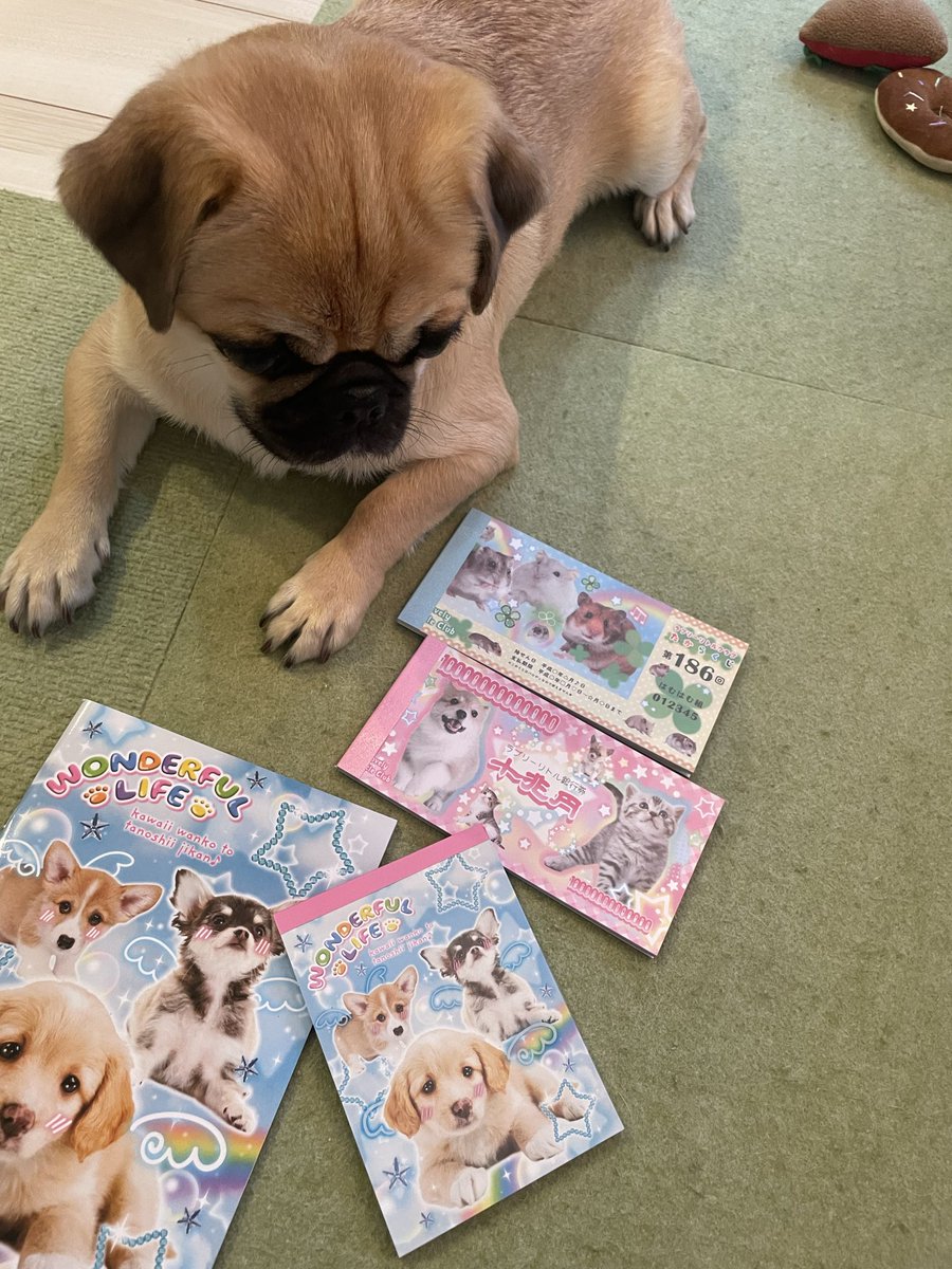 hamuchan_4_'s tweet photo. セリアで平成レトロゲッツ🐹💴 https://t.co/Yv3SVcHtmf