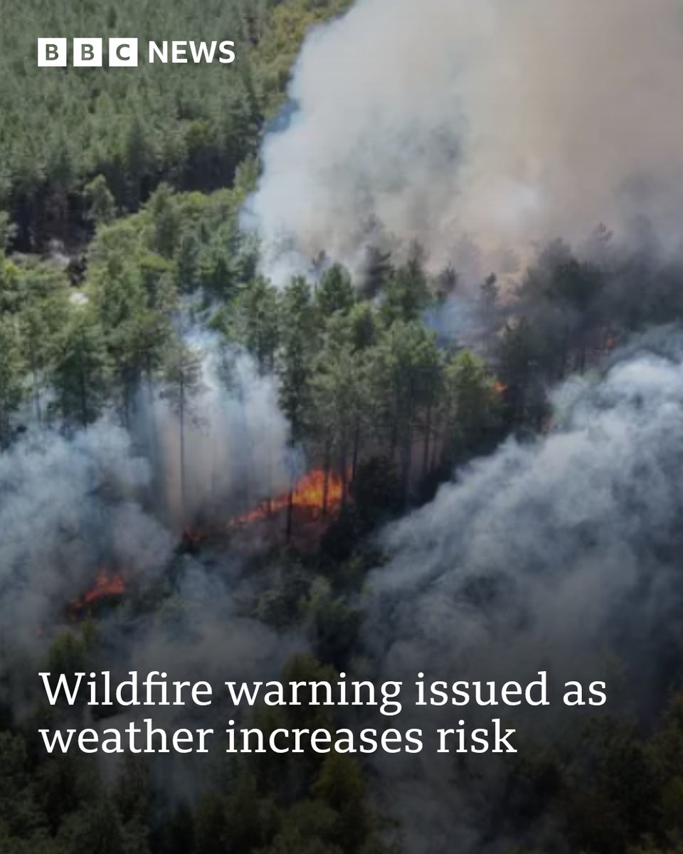 BBC Surrey tweet media
