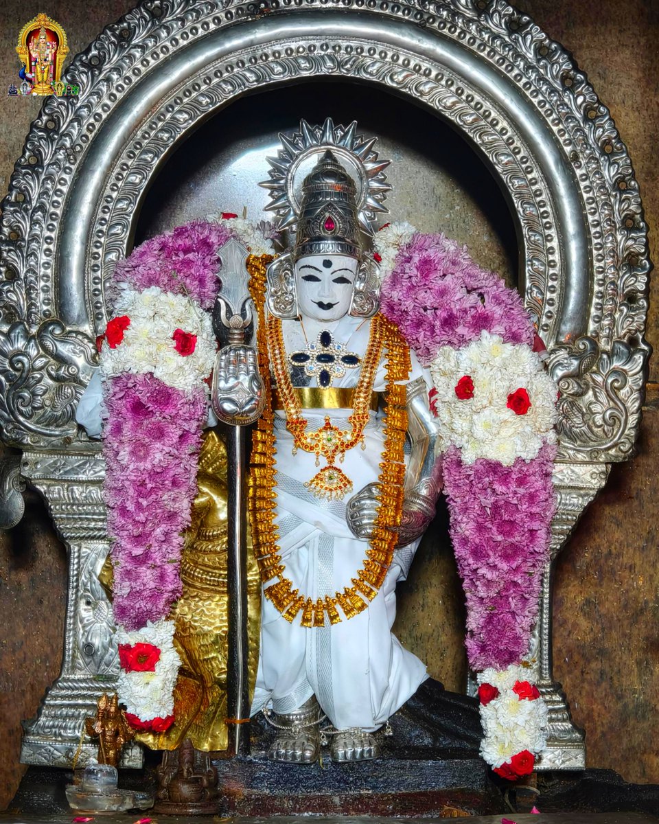 ChendurMuruga's tweet photo. நீயல்லால் தெய்வமில்லை எனது
நெஞ்சே நீ வாழும் எல்லை முருகா!
நீயல்லால் தெய்வமில்லை எனது
நெஞ்சே நீ வாழும் எல்லை முருகா!

#முருகாசரணம் 🐓🦚
#MurugaSaranam
#मुरुगा_चरणों
#murugansongs
#hindu #god #murugan
#lord #muruganthunai
#tiruchendur #murugar 
#festival #hinduism #hindugod #temple https://t.co/WizHWWkYjo
