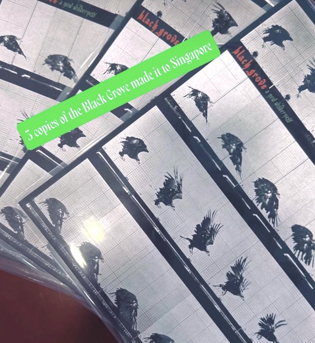 FogandLime's tweet photo. always exciting to see the records sell!

black grove LPs arriving in Singapore https://t.co/eNd2Ymgmky