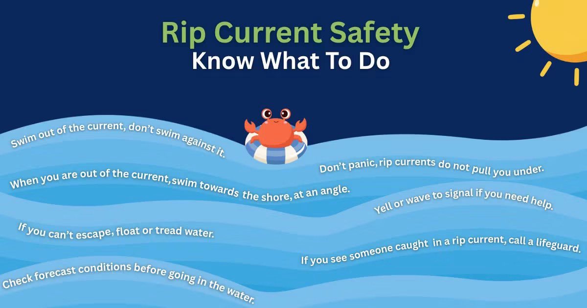 SCEMD's tweet photo. The ocean is powerful.
Be prepared before you dive in.
#BeachSafety #RipCurrentSafety https://t.co/ugkBjCcMyB