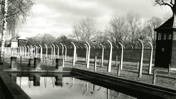 ReformedSaxon's tweet photo. The Nazis would take the jews outside their camps to a spot in Auschwitz where they had a swimming pool. They would tell them that they’d been good and that they could go swimming. However they had actually glued pennies to the bottom of the pool, so the poor jews would drown trying to pull them up. Never forget.

It's unbelievable, but it happened.
