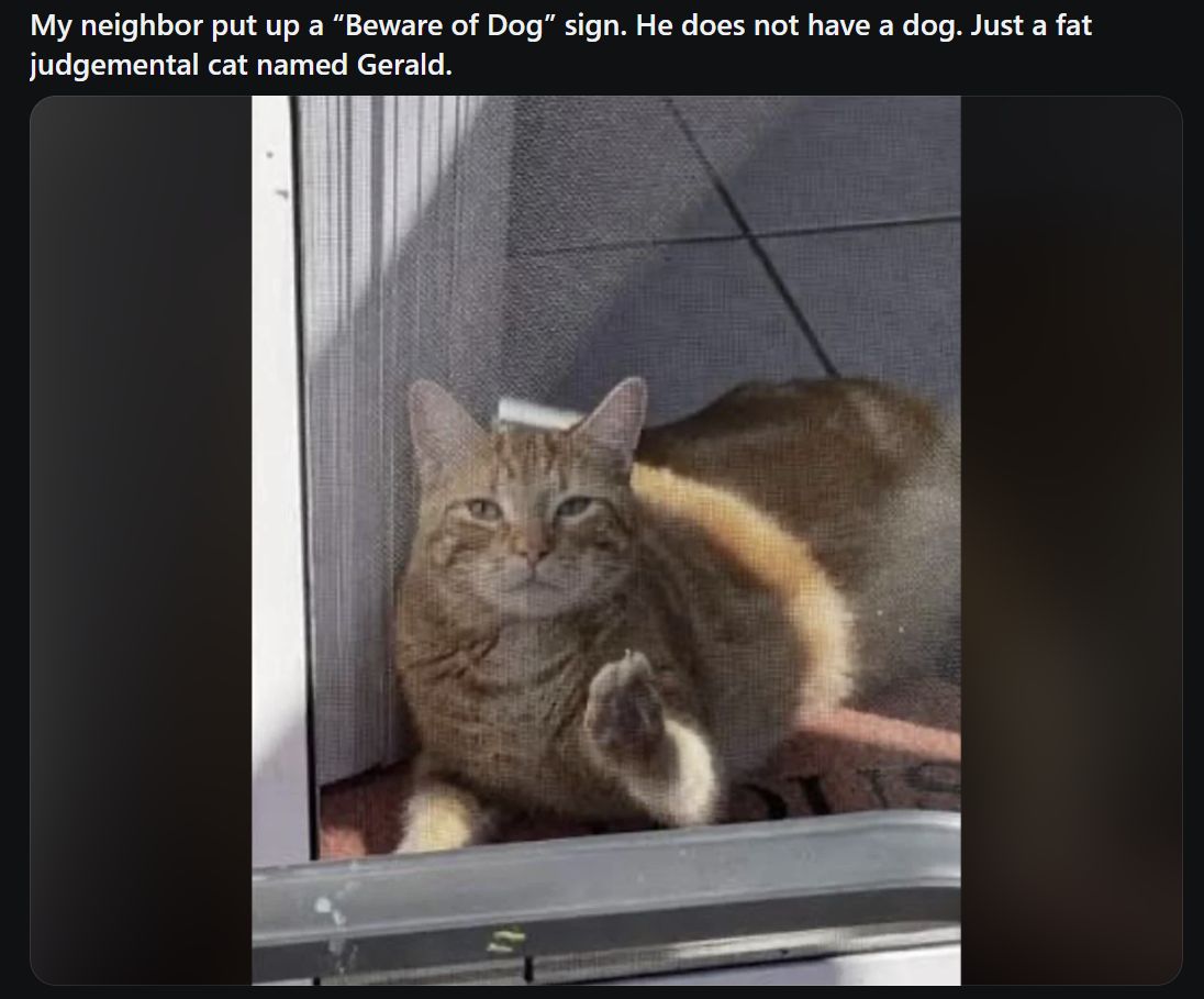 CatWorkers's tweet photo. He's doing great. https://t.co/RmFzS37mj2