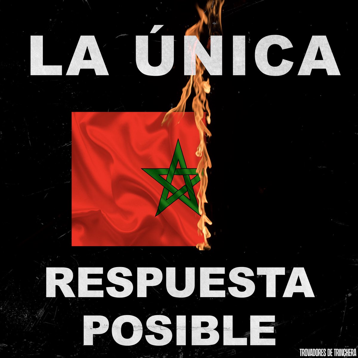 AlonsoDeGuillen tweet picture