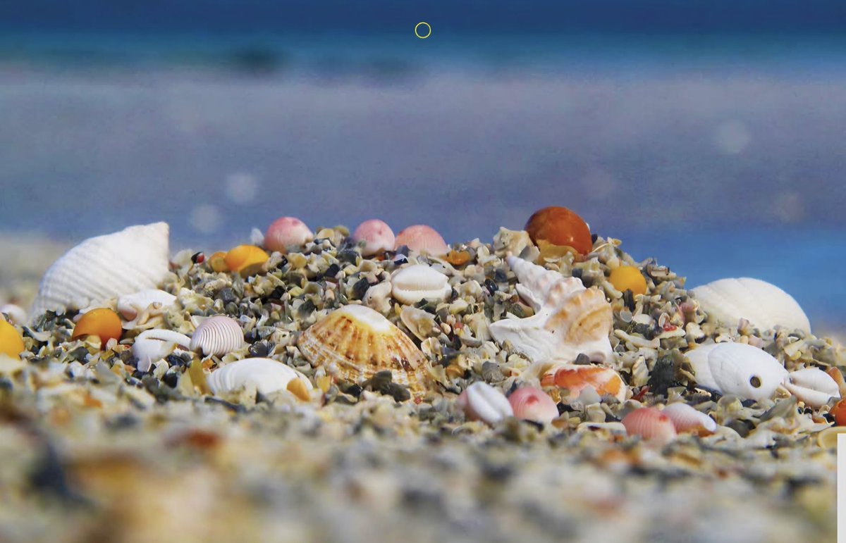 EilidhCarr's tweet photo. ✨️ 2027 calendars ✨️
Each year I use my island photography to explore new places &amp; to also use in my Coralbox work. My two calendar designs of Berneray &amp; Outer Hebrides by drone are available both online and in my gift shop on Berneray. #OuterHebrides 
https://t.co/lSukJ99m2A https://t.co/o3oJcLHzSx