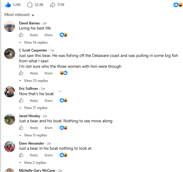 iqhkim18's tweet photo. Holy shit, this might be the next  "Bear on Pole" 

This video of a bear on a boat is absolutely exploding on Facebook over 1M likes already, with thousands of comments!

Their giving him funny names and turning him into a meme..

The normies are all in. $BOB

https://t.co/y4NpBUVdQC