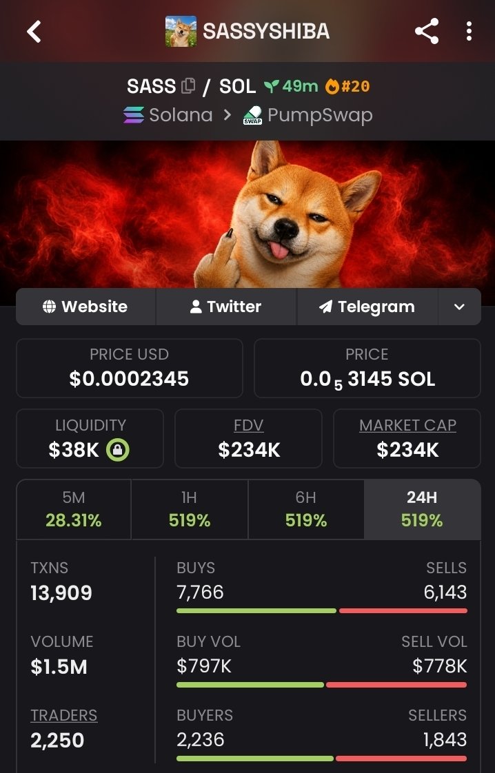 SolGemHunter tweet media