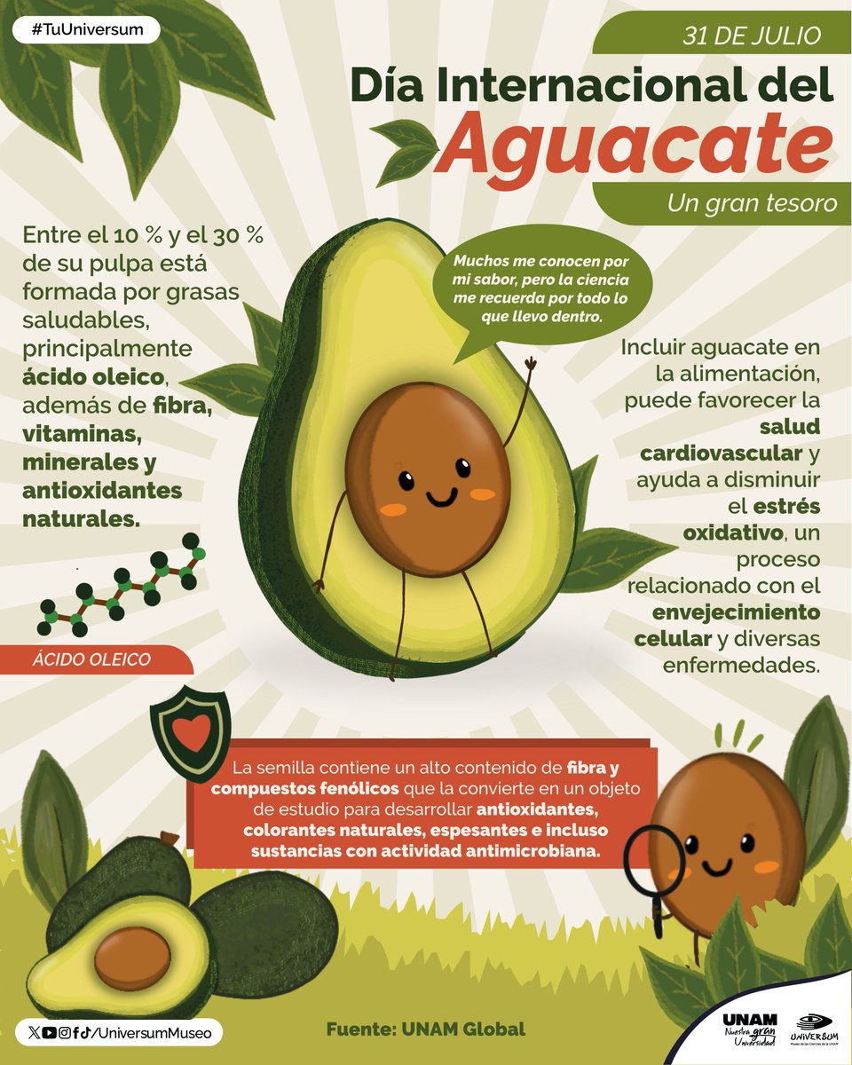 UniversumMuseo's tweet photo. ¡El rey de la mesa está de fiesta! 🥑✨ Hoy celebramos el Día Mundial del Aguacate. ¿Con qué platillo vas a festejar el tuyo? #DíaDelAguacate #OroVerde

#TuUniversum https://t.co/9CqE0dOqEe