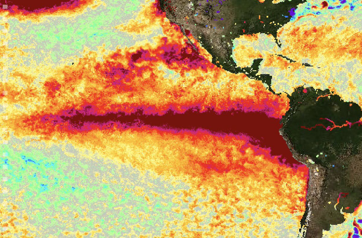 Met4CastUK's tweet photo. El Niño is continuing to strengthen across the Pacific in what is very likely to be a record breaking strong event. 

Over the next 1-2 years, average global temperatures are expected to increase (likely to new all time records) with the potential for severe weather as a result. https://t.co/wAMUZKreNl