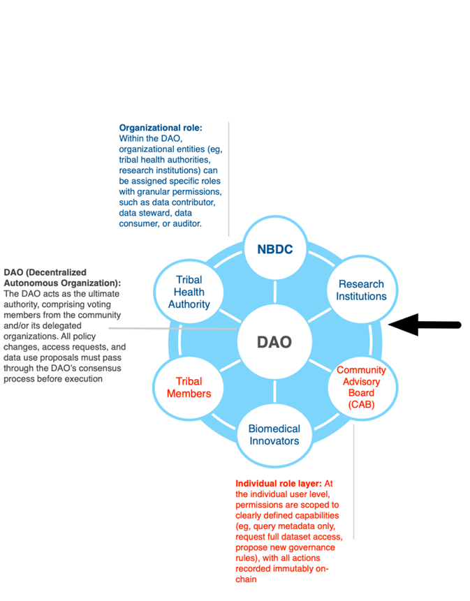 USC_VEDA's tweet photo. Blockchain's next breakthrough may not be finance. It may be data governance.

New research out of @UCSanDiego from Tim Mackey, MAS, PhD and collaborators from the Native BioData Consortium (@NativeBio) explores how blockchain can empower Indigenous Data Sovereignty through decentralized governance, smart contracts, and community-led decision making.

Read the study: https://t.co/ek7BurqUzn
Collaborators: @ajcalac Tiana McMann Ken Miyachi  @SammHurstPhD @KeoluFox @Burt_D Kelle Dhein Guthrie Ducheneaux Joe Yracheta

@JMIRpub #Blockchain #Web3 #DataGovernance #IndigenousDataSovereignty #Healthcare #AI #Research #BlockchainForGood