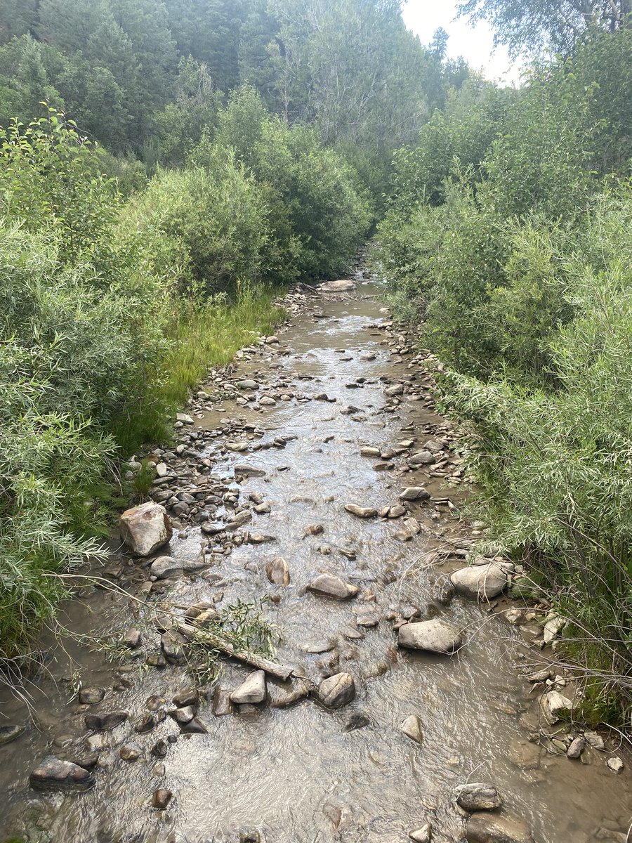 shidneyyy's tweet photo. Durango, CO📍 https://t.co/EWMx6538sq