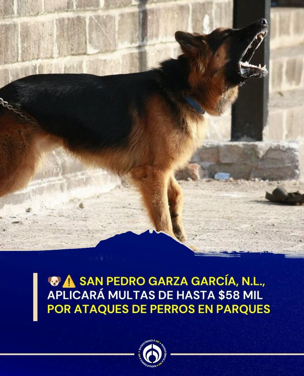 veruka2010's tweet photo. Cómo para cuándo @mtygob empezarán con las multas? en la colonia #cumbrealta hay perros que si tienen dueño, pero no son responsables. https://t.co/ilFm0UlQ31