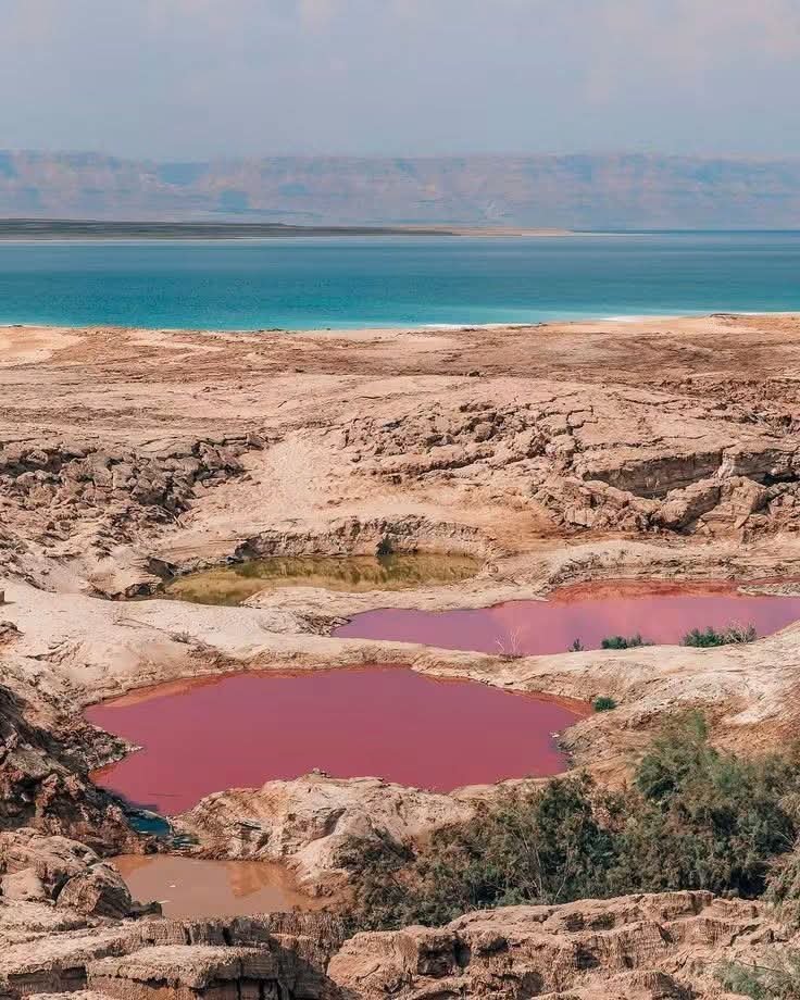 RamziDesert's tweet photo. Dead Sea , Jordan 🇯🇴❤️ https://t.co/ORETGE6Whz