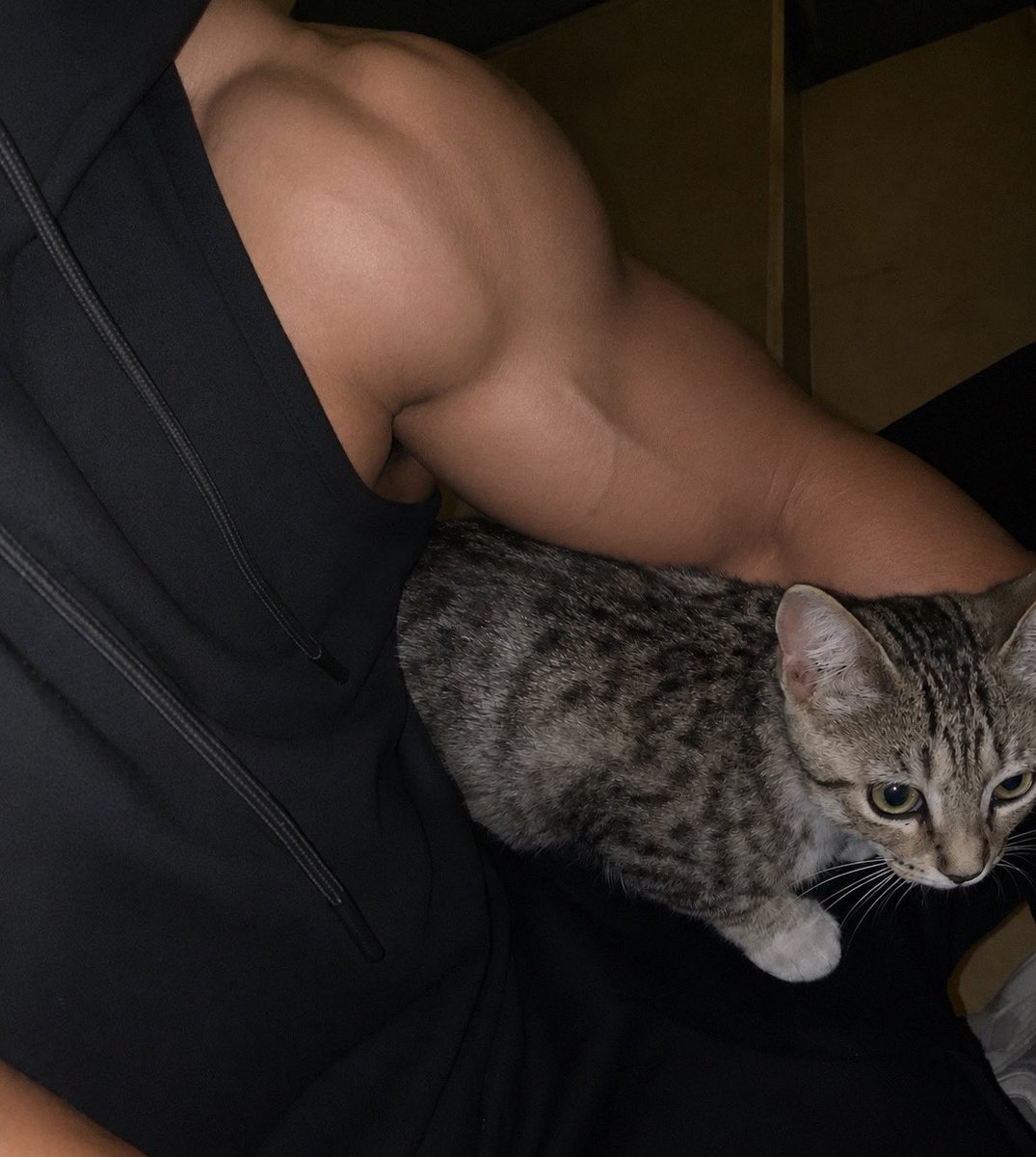 efemean's tweet photo. happy cat https://t.co/yEwD2X9Lz3