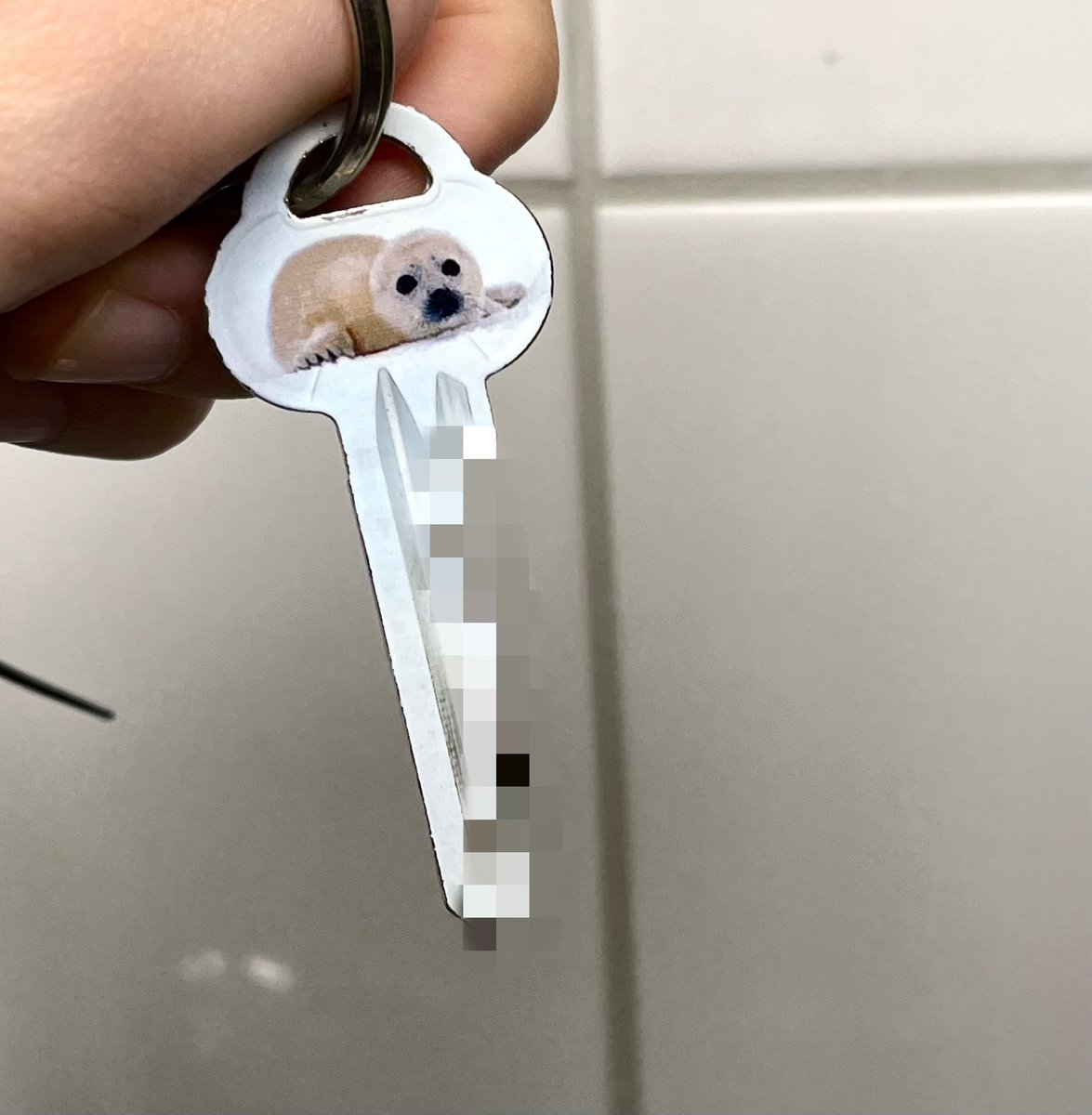 Shlissika's tweet photo. Look at my key :3 https://t.co/cNm5ITshxq