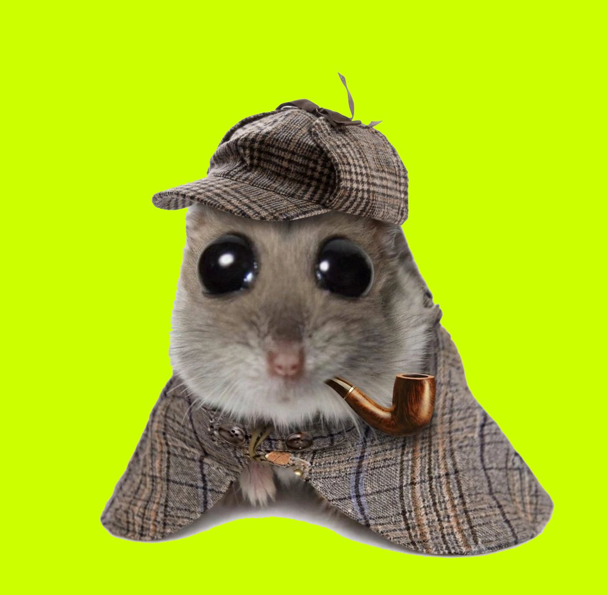 pipepipiRH's tweet photo. meet slavic squeak = pi-pi-pi 🐭

$pipepipi launch on robinhood tmrw🔰

if you early = send 0x.. wallet &amp; like + rt pls👇 https://t.co/oOLXWaXaV8