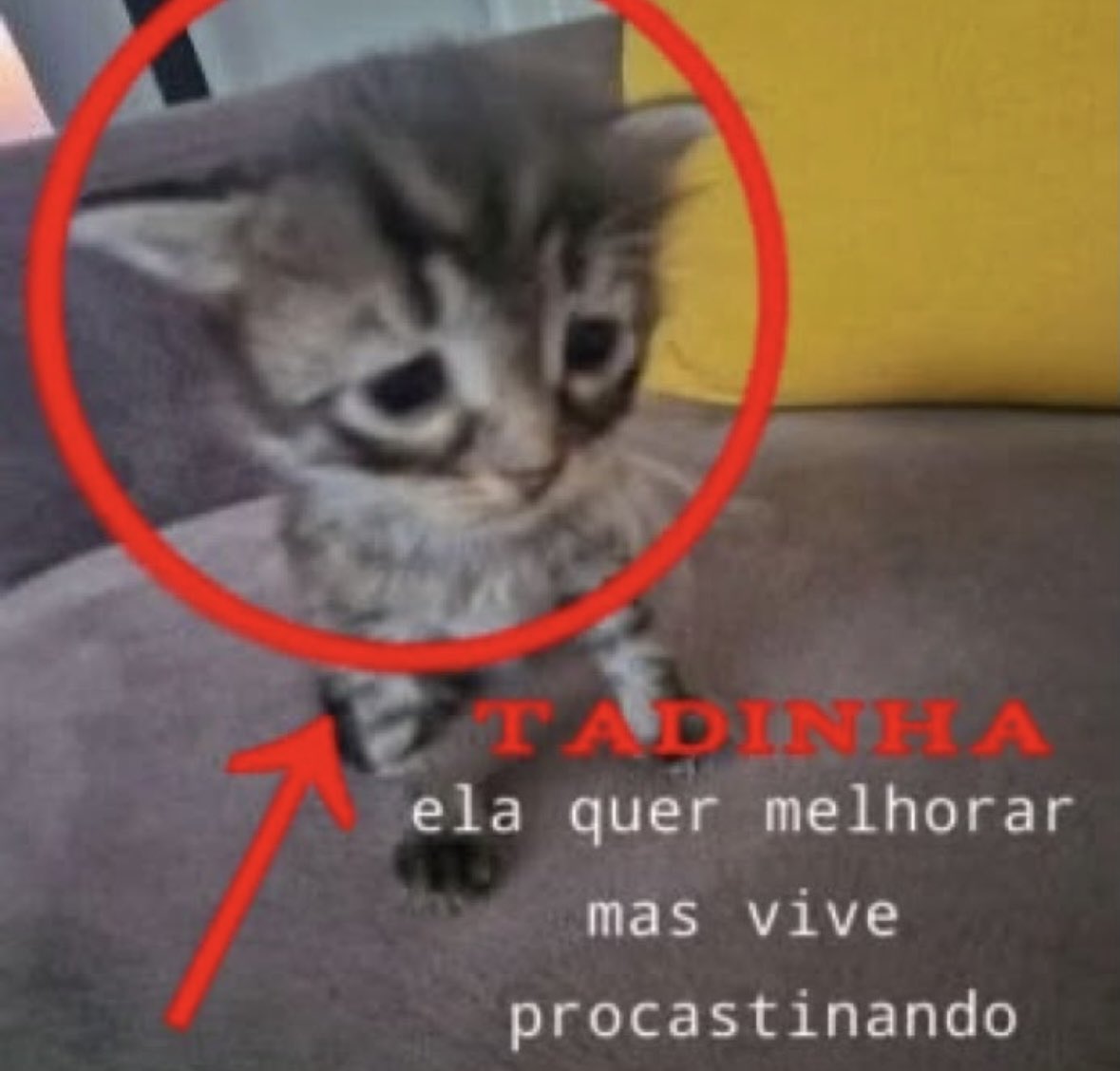 umANSIOS0's tweet photo. https://t.co/tg656uvVqD