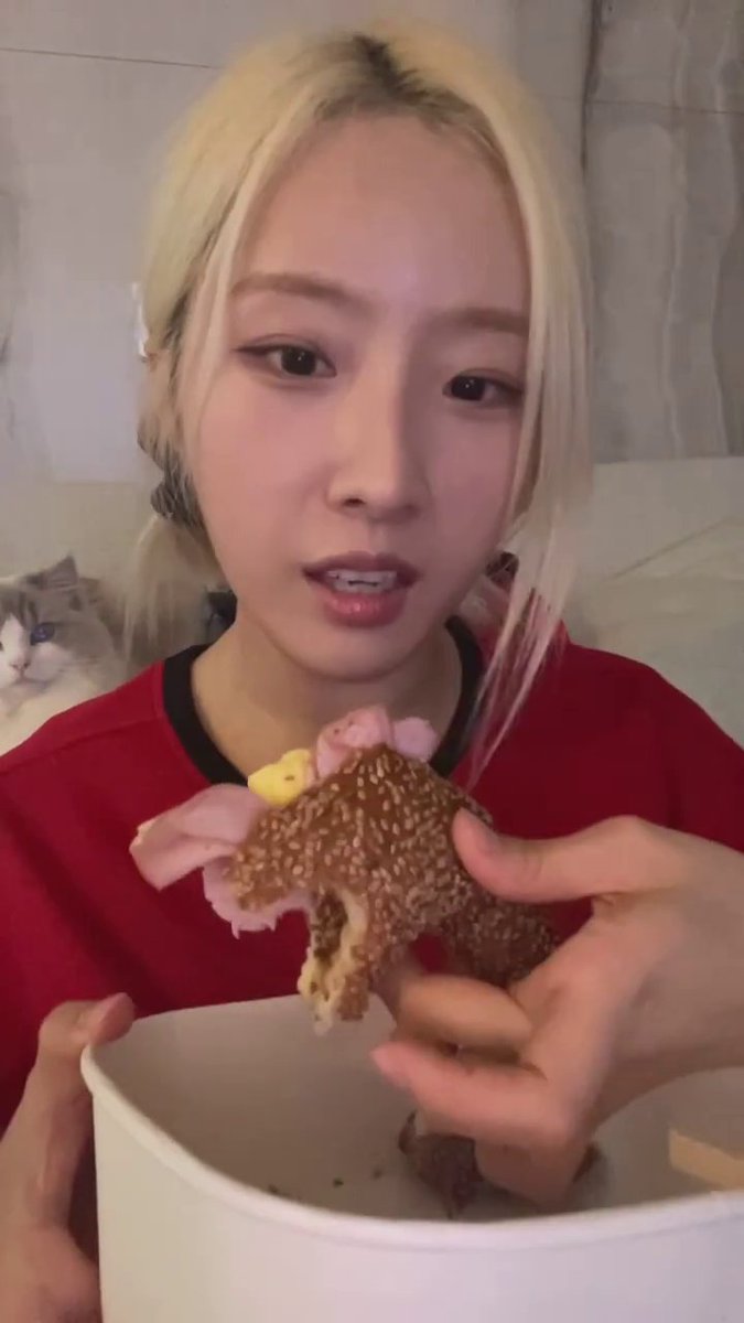조하슬 tweet media