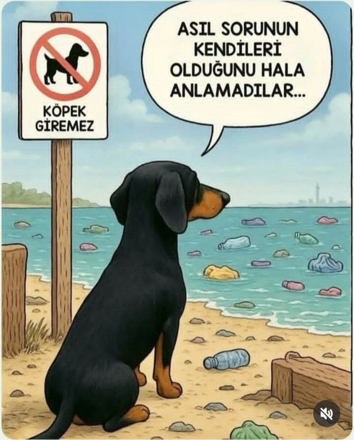 bisikletsizadam's tweet photo. İnsanlık güç ile değil merhamet ve vicdan ile ölçülür onlar konuşamaz ama acıları her şeyi anlatmaya yeter her can yaşamayı hak eder hepimiz her zaman yaşatanlardan olalım 

#SokakHayvanlarıSahipsizDeğil https://t.co/jm1uPLrgTq