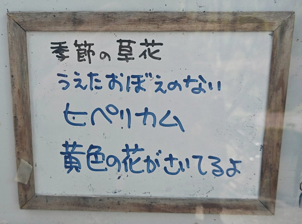 SorinRussu2's tweet photo. あつすぎて顔がオワリ！
今日2回し目はReNYさんにてアナフェス名古屋に出演させていただきます🥹✨
⚠️事前物販なのでお気をつけあそばせ~！ https://t.co/DOktsRM52v