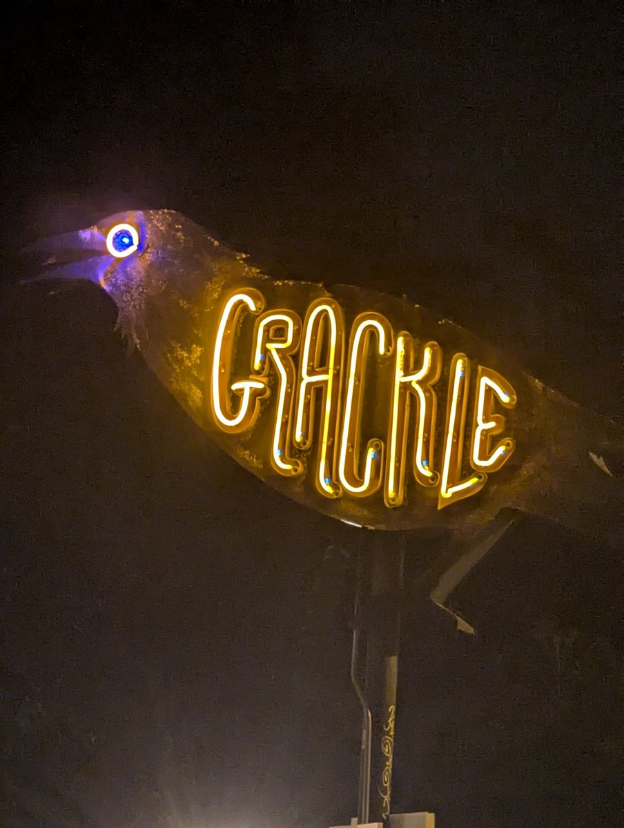trcksuitdracula's tweet photo. everyday I'm grackle-ing ... https://t.co/9Fsh8etygA
