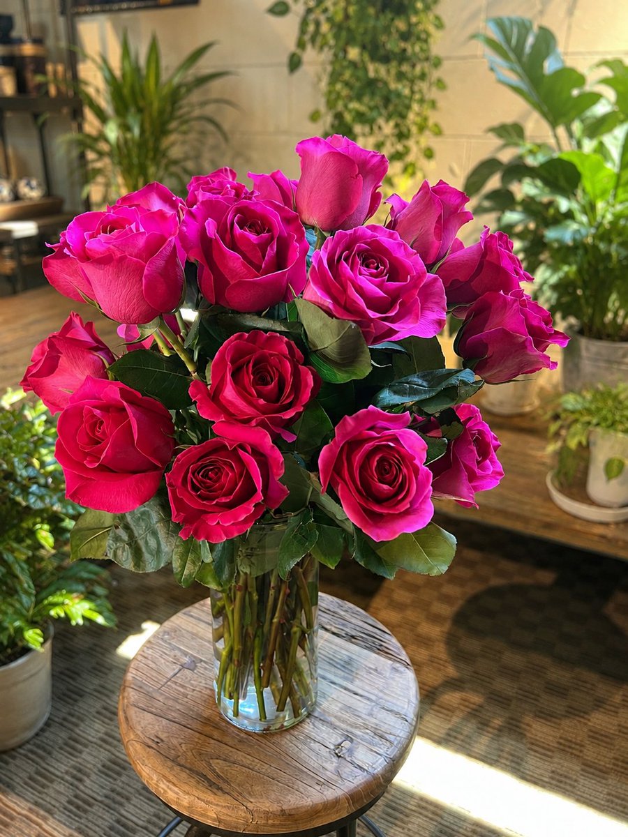 McNamaraFlorist's tweet photo. What could possibly make your week better? Through the end of August, get two dozen roses for just $69.99, or stop in-store for a carry-out bouquet for $49.99. Whether for yourself or a loved one, these roses are the ultimate mood-booster! https://t.co/U7uGwlP0Se https://t.co/2HbkBRhDDJ
