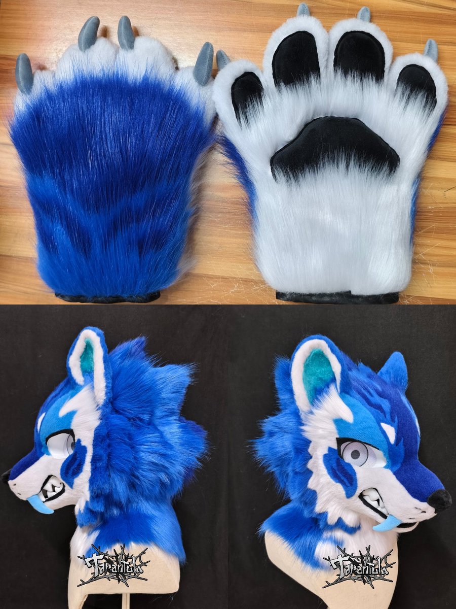 Tarantula401's tweet photo. 🐯💙Premade fursuit for sale

head height up to 27
head circumference up to 62
two detachable mustaches
Includes:
Head
Paws
Character design
3D-printed wristband
#fursuitforsale #fursuit #furry #premadefursuit https://t.co/PBqhxfm202