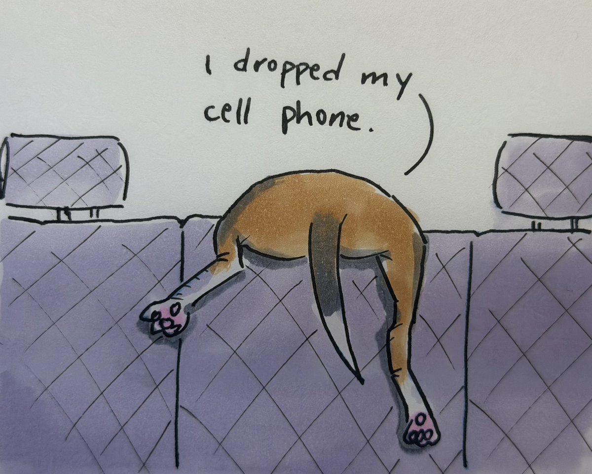JohnHeim's tweet photo. Please remain seated…
@beagle_addict https://t.co/zhh7rMdOKS