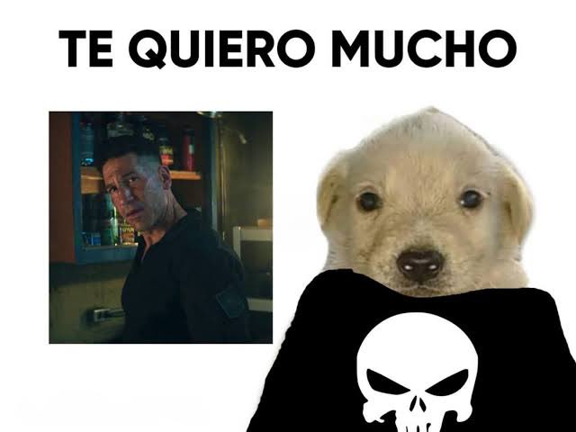 CesarJaimesEsp1's tweet photo. te quiero mucho frank https://t.co/5B7Chf28H7