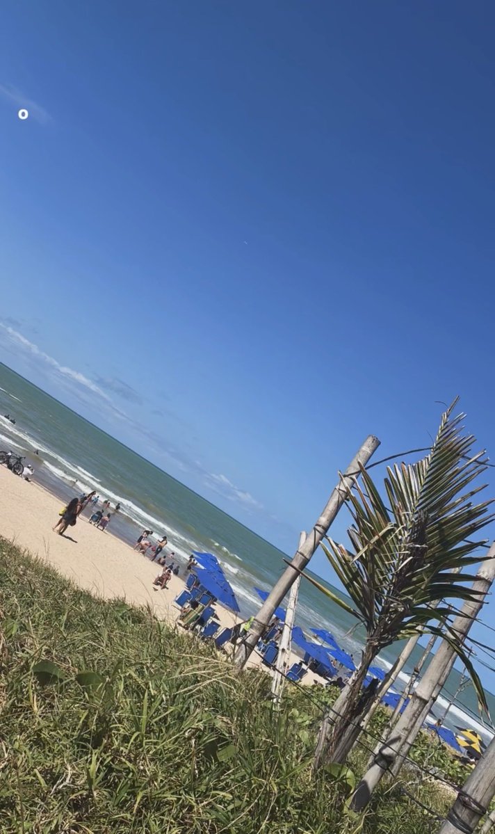 bdbkaua's tweet photo. 🌊☀️🌴

#praiou https://t.co/CelS54AzZ0