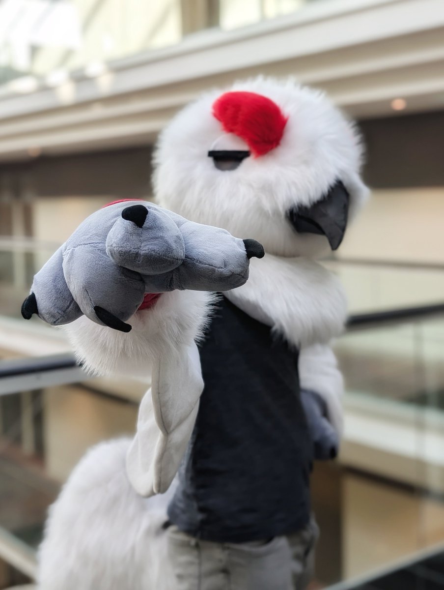 roundbirbart's tweet photo. Don't have a fursuit for Eurofurence yet? Consider becoming AWEBO! I'm willing to let him go for €800, EF pickup.

- Comes w head, neckpoof, handpaws, armsleeves, tail, bird ring wristband
- Center vision thru mesh beak
- Magnetic eyelids &amp; posable eyebrows https://t.co/IPHKsSLzOb