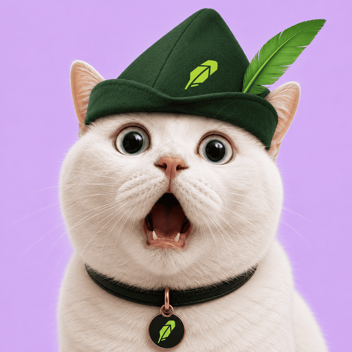 ShockCatRh's tweet photo. @valueandtime soon $SHOCK https://t.co/GpUvCEGrd7
