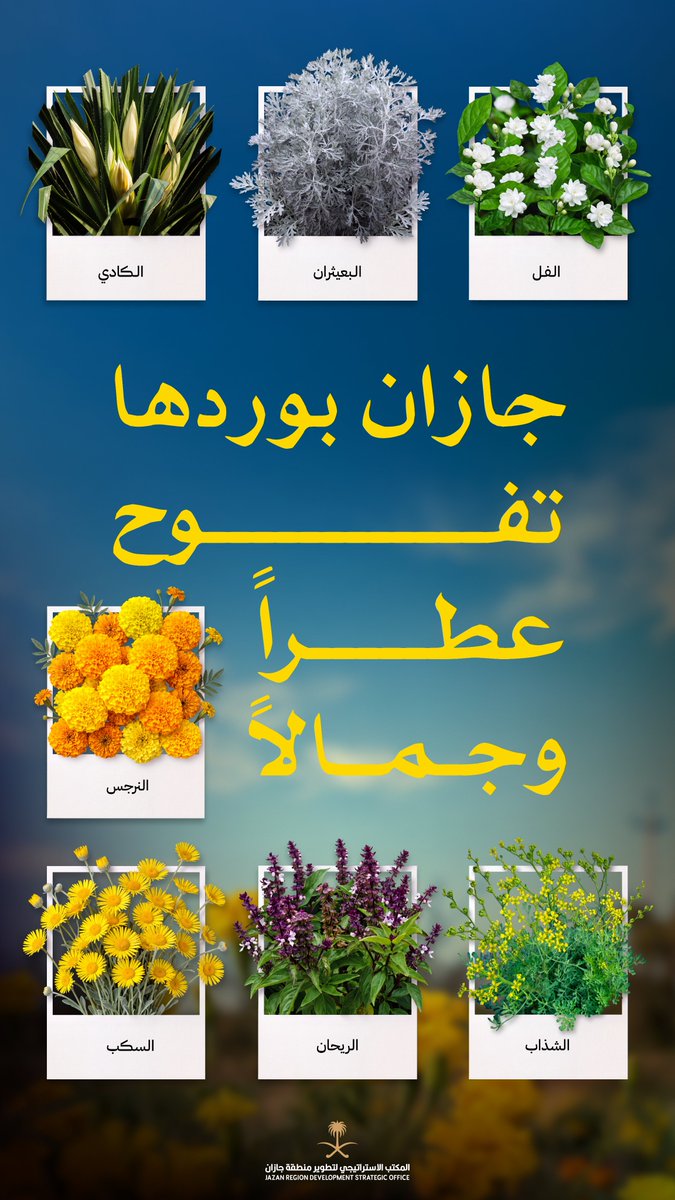JazanSDO's tweet photo. جازان بوردها تفوح عطراً وجمالاً.

#المكتب_الاستراتيجي_لتطوير_جازان https://t.co/AvNYP8KLZk