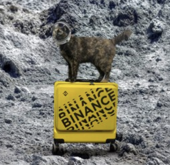 AluCartSOL's tweet photo. 0x9c3de157e715b138406f7f756b5944a4e3e77777

MOIRA
Intern on binance https://t.co/c9iFK2TJ9O 

been posting about it and binance too https://t.co/mQKV7pm8YC